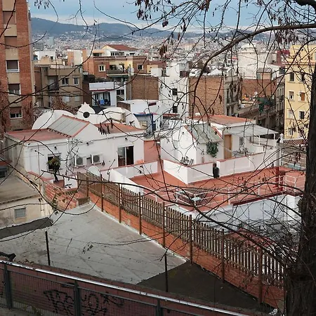 Zoo Loco Pensión